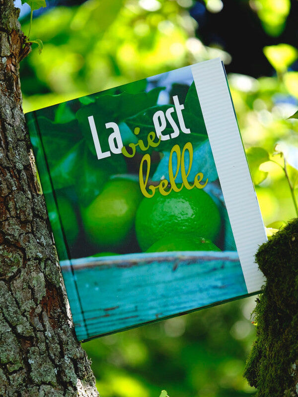 La vie est belle - Das Leben ist schön. Ein Buch mit Sprüchen, Rezepten und Platz zum Notieren von eigenen Rezepten