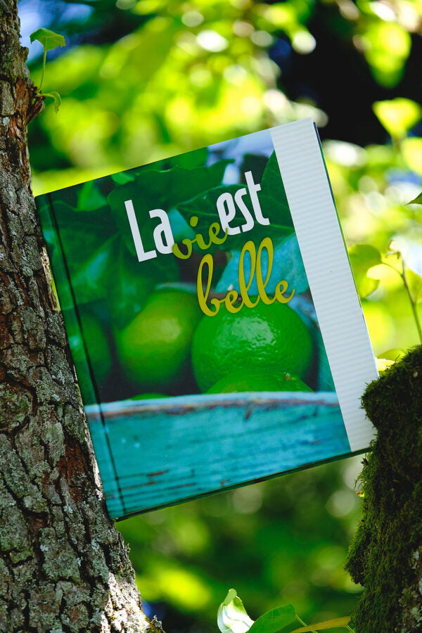 La vie est belle - Das Leben ist schön. Ein Buch mit Sprüchen, Rezepten und Platz zum Notieren von eigenen Rezepten